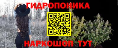 ECSTASY Тулун