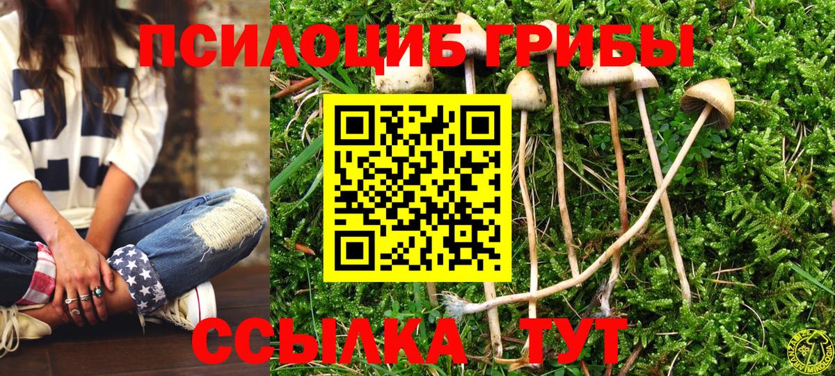 Псилоцибиновые грибы GOLDEN TEACHER Новоалтайск