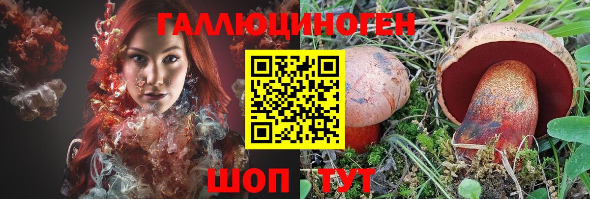 Псилоцибиновые грибы GOLDEN TEACHER  Вход с VPN  Новоалтайск 