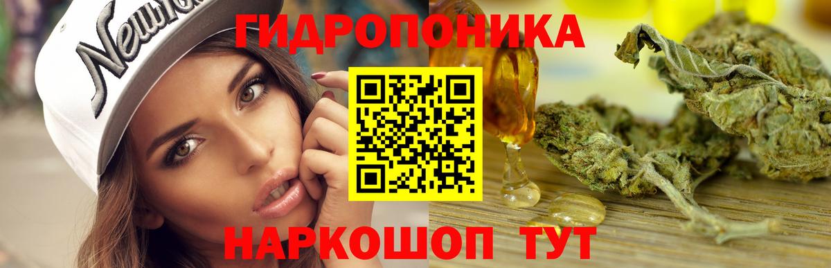 Канабис сатива Новоалтайск